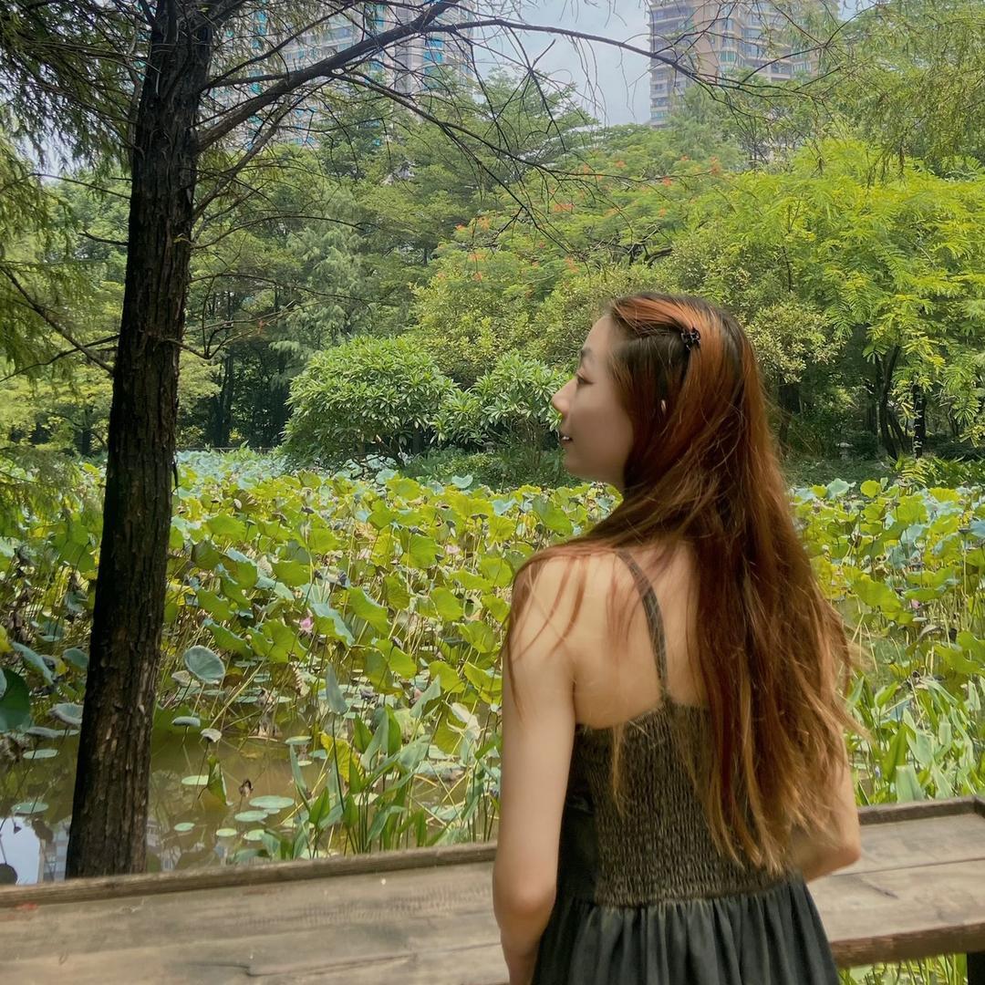 菜菜林_