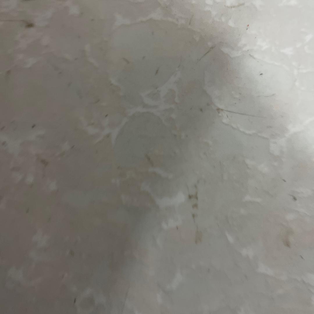 可小欣