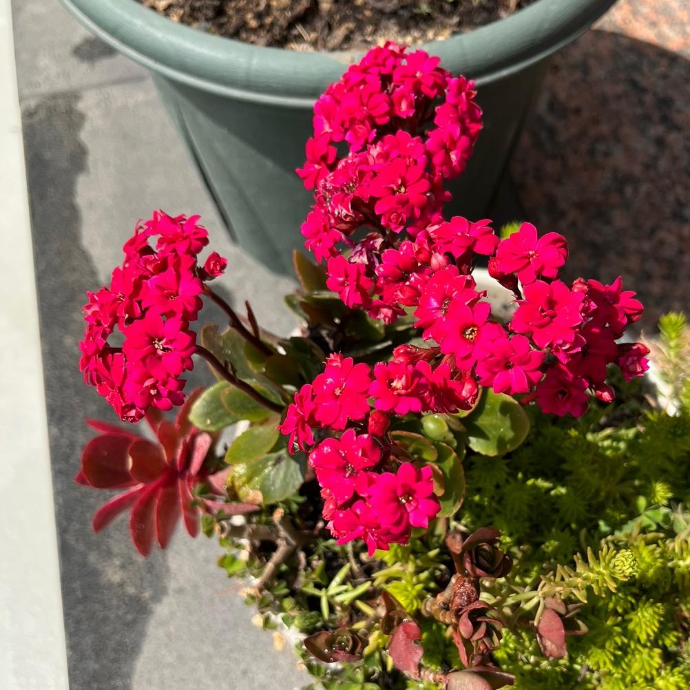 姜阿四汽车培训