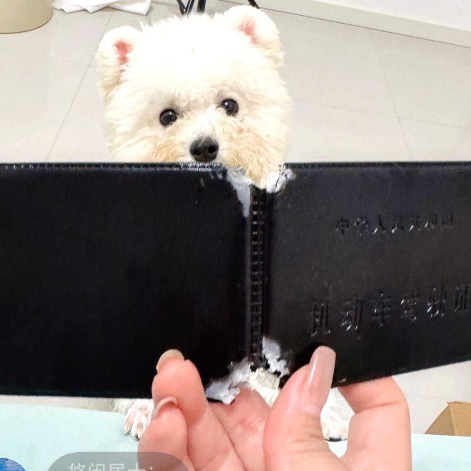 ^招远有人叫我大财迷”