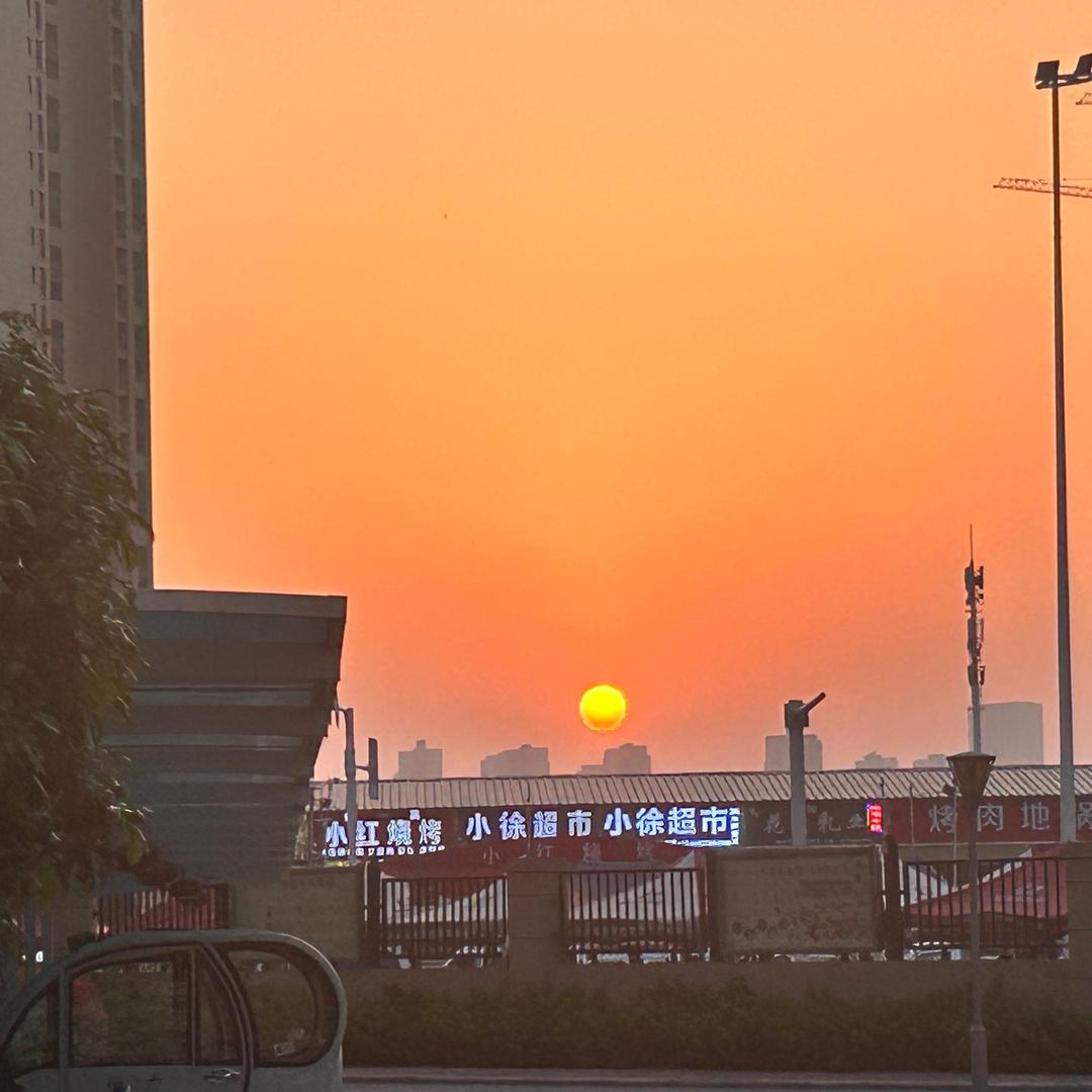 虎子是个事业脑✅（我的日记📔）