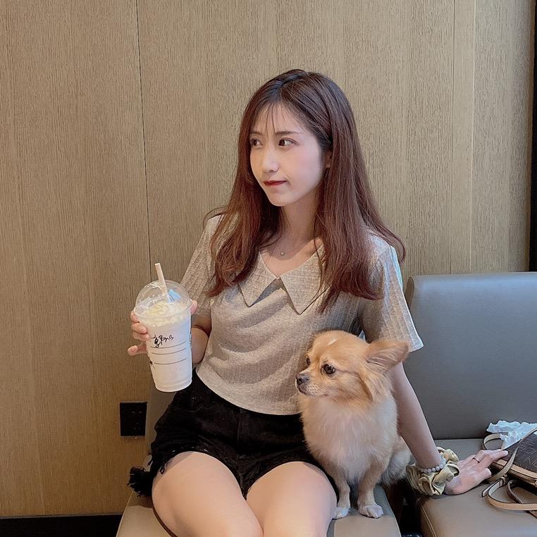 小阿狸