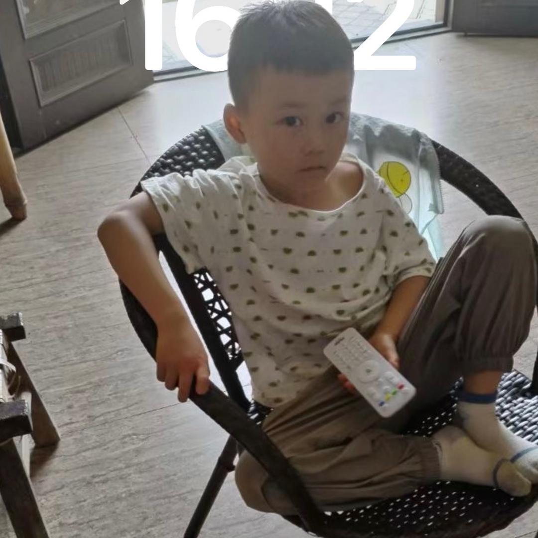 杨杨杨