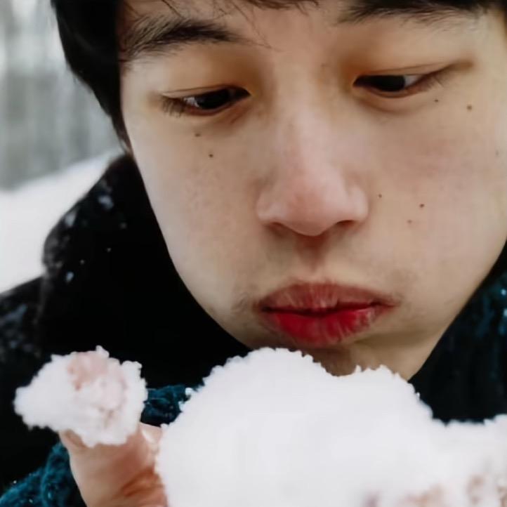 折翼鸟