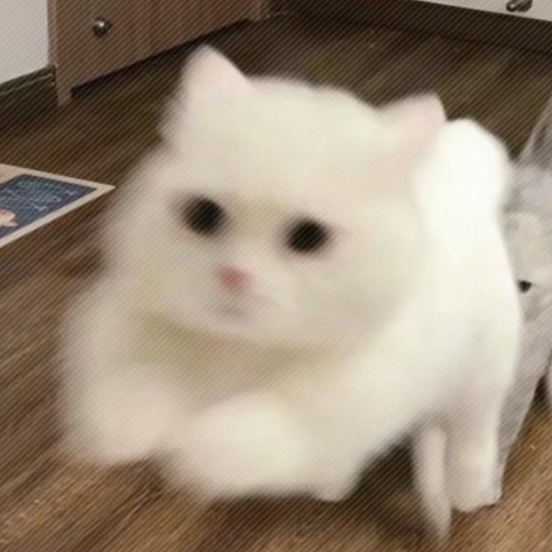 讨厌下雨天☔️