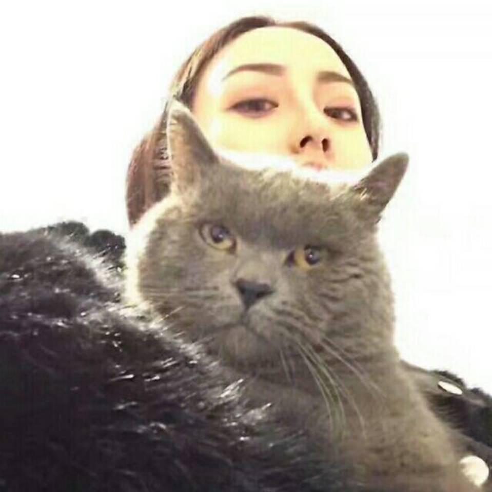 碎碎念ꔛ♡