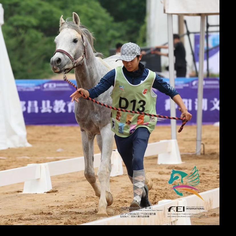 不会骑马小郭