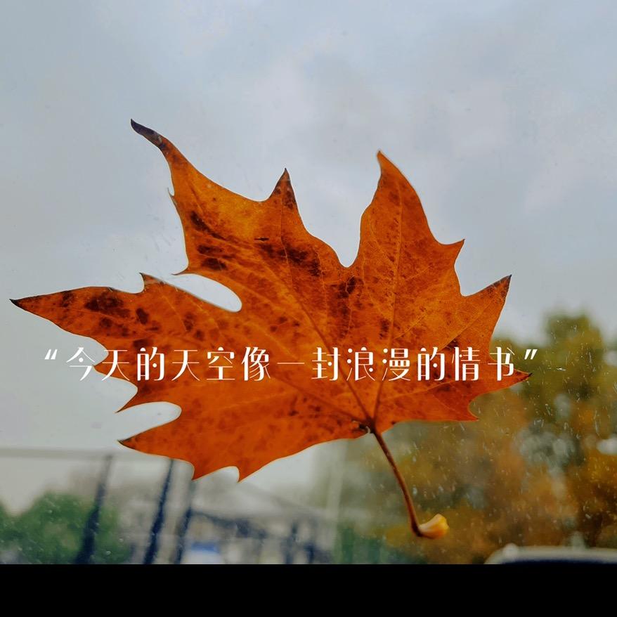 不负芳华