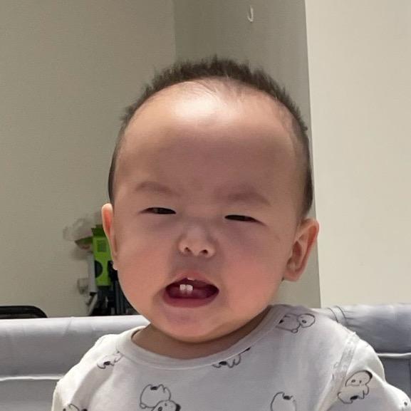 泡仔