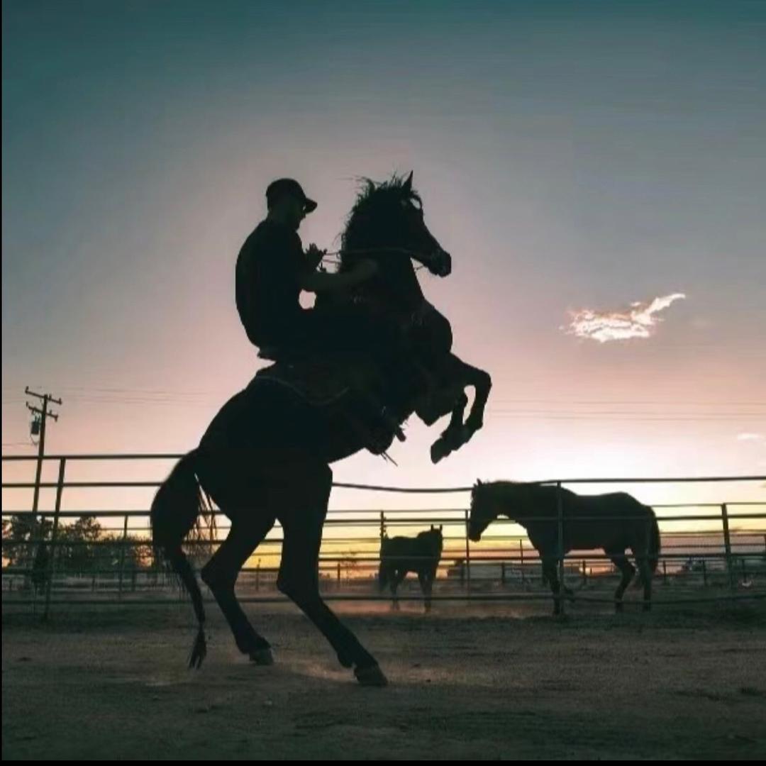Buddha-like_杜楚客