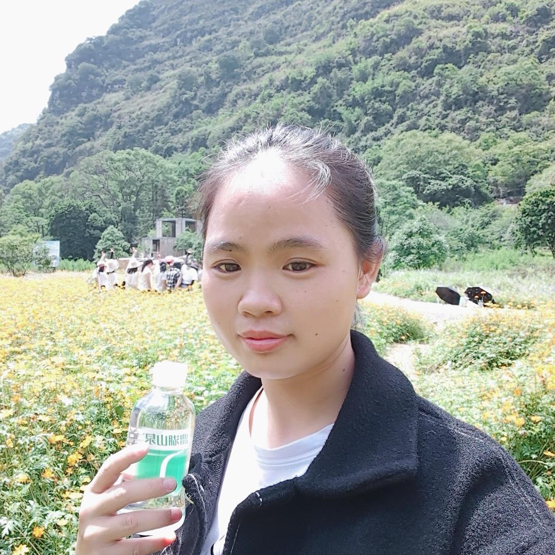 小枫叶短视频