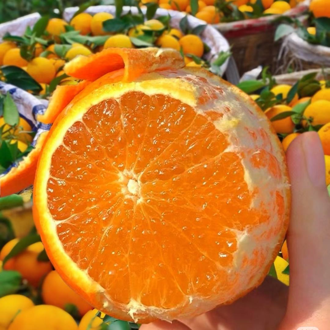 果立方-四川眉山爱媛果冻橙专场