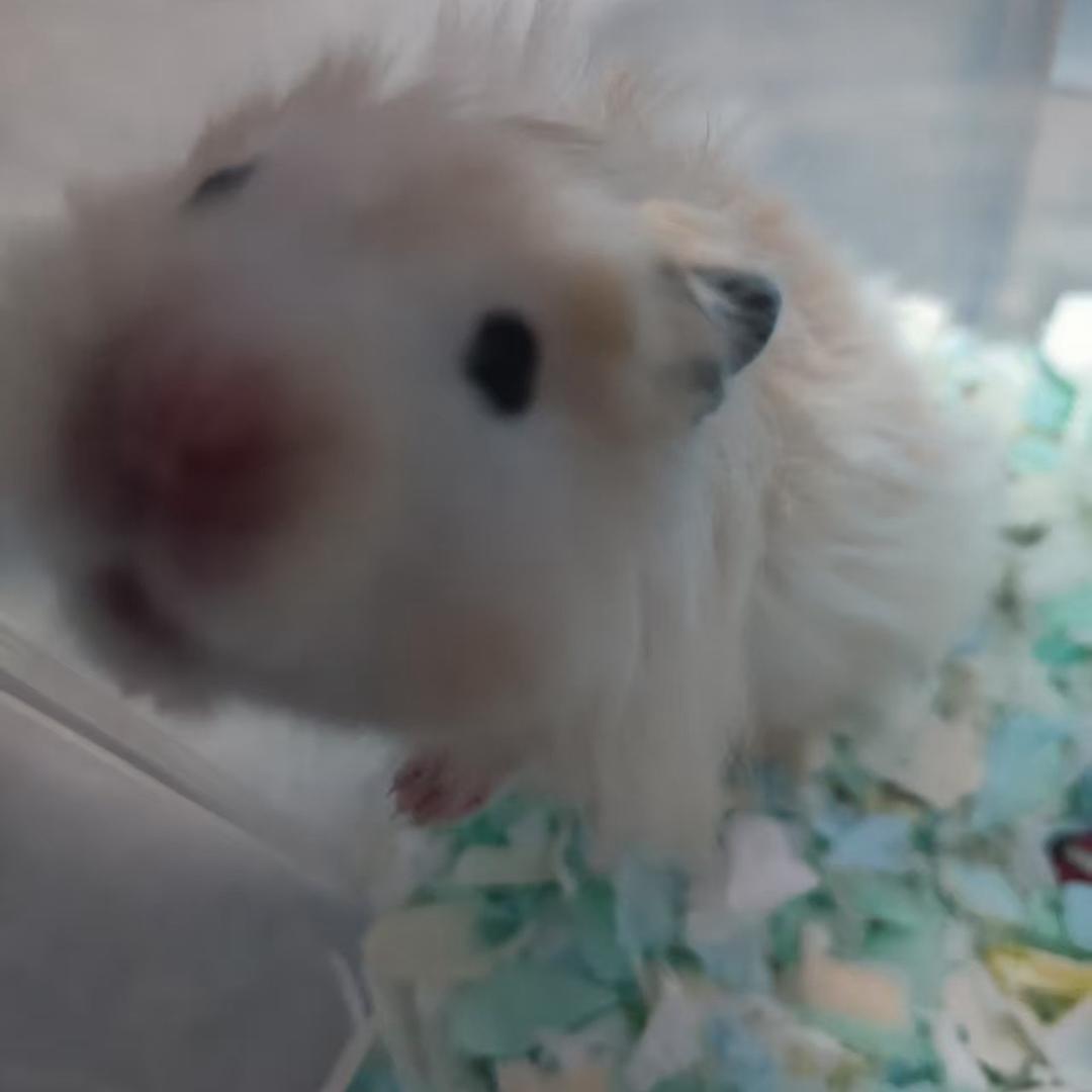 诗琴斋