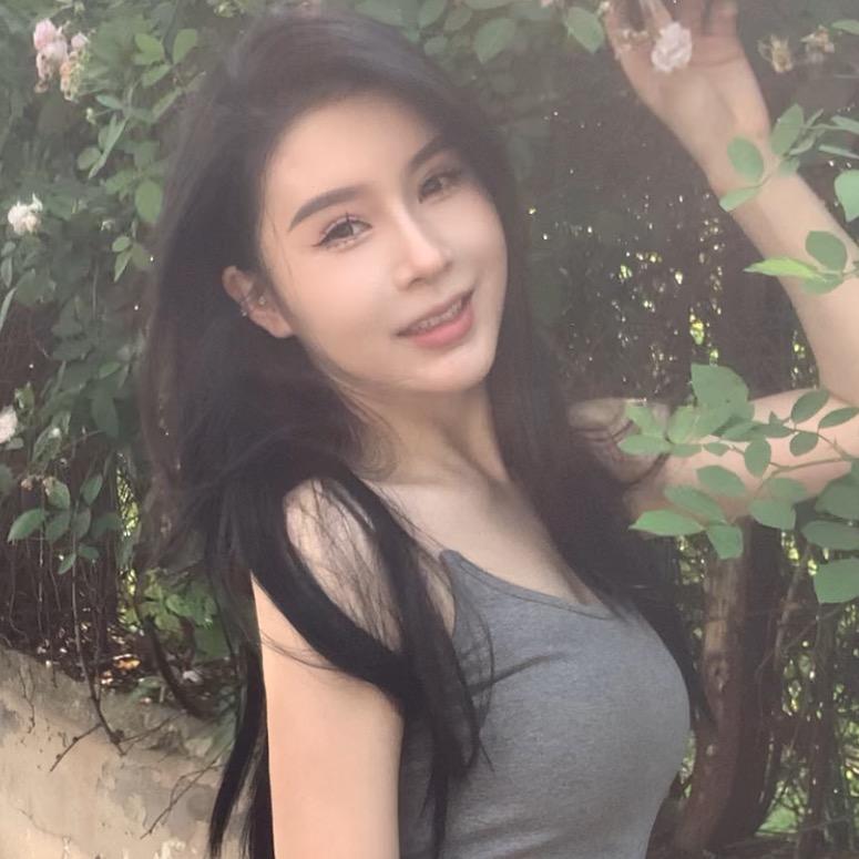 DAN DAN 想发财