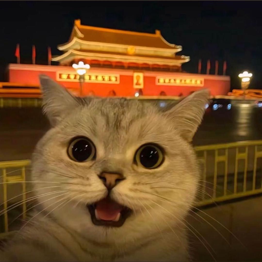 小鹿别乱撞