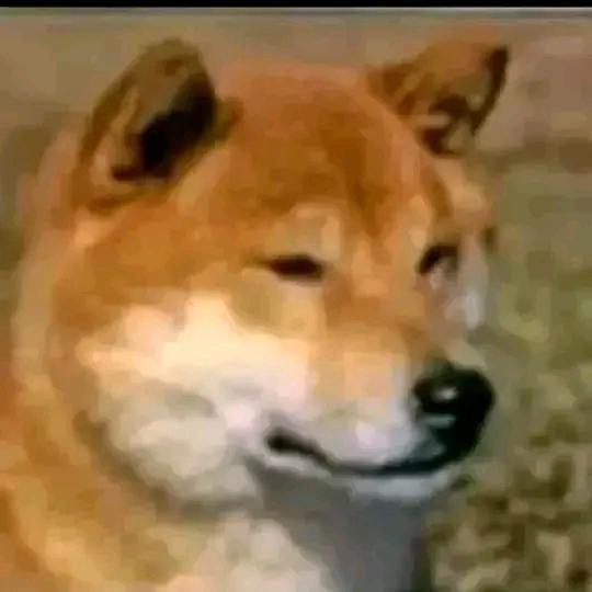 狗勾