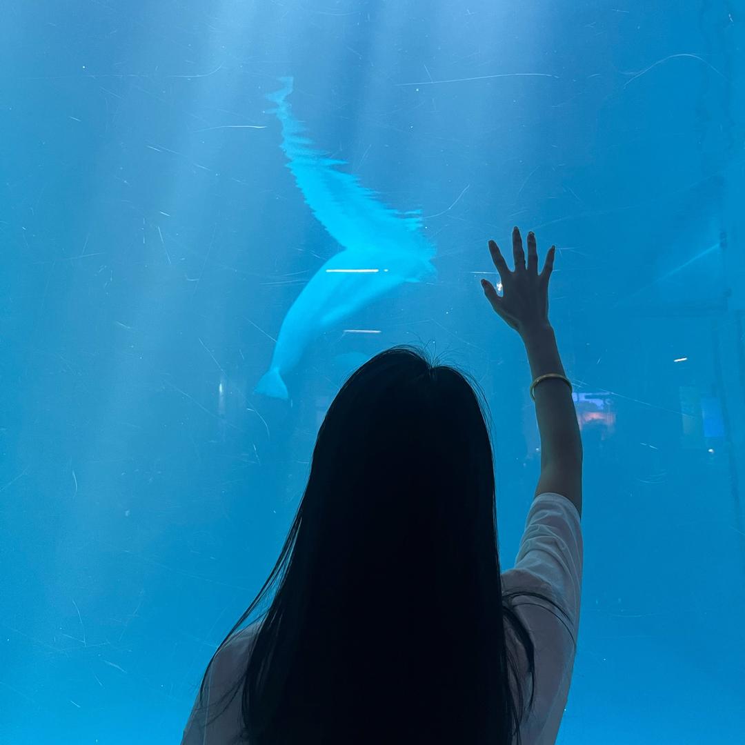 张小娇的养鱼日记🐠