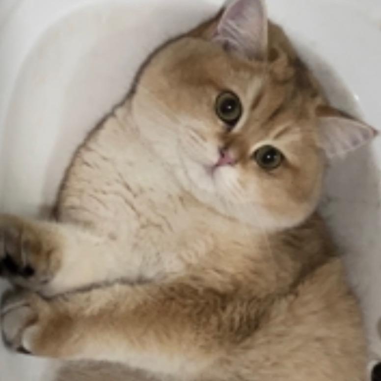 宝总是个宝宝