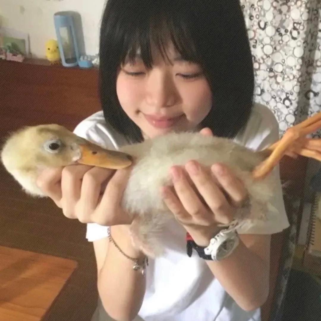 我不是小卡