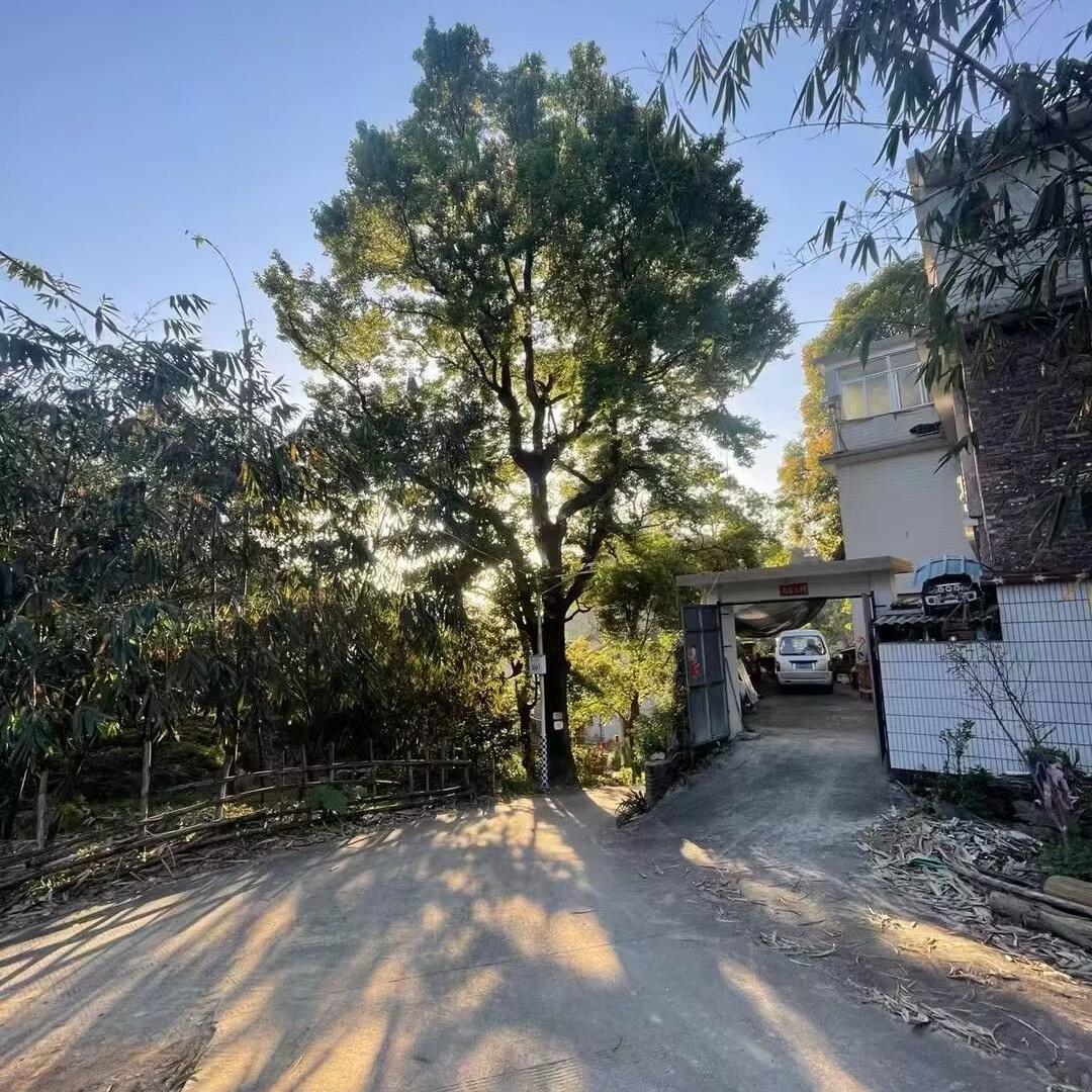 凡事发生必有利于我