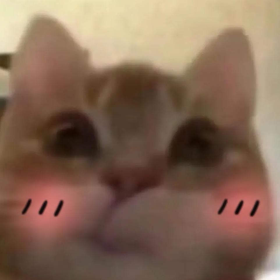 🫠七七