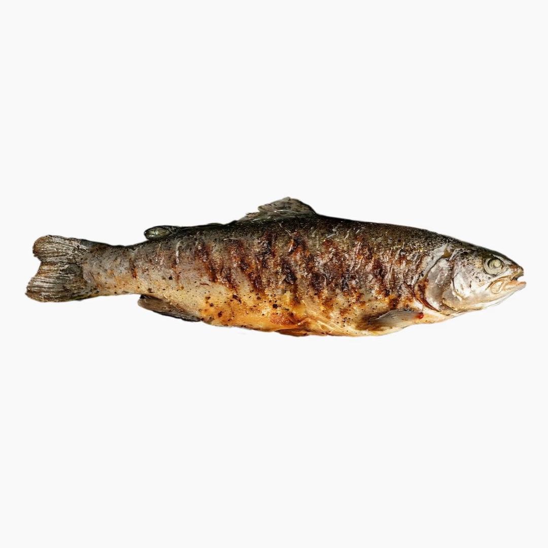 闷鱼饭