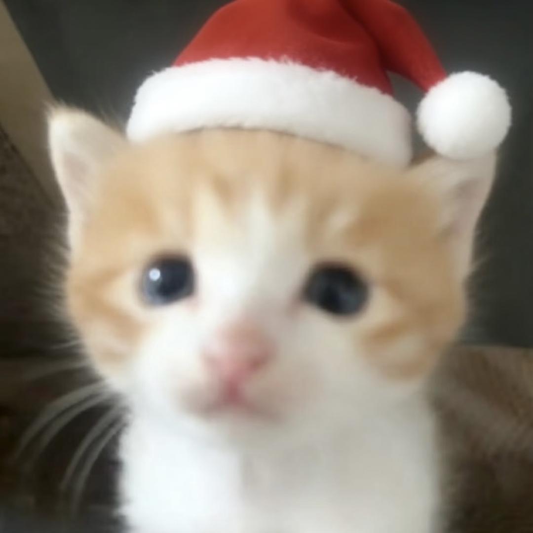 我爱睡懒觉（见过鹿晗版