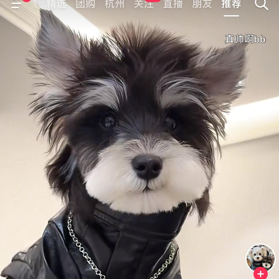 潮牌韩版服装