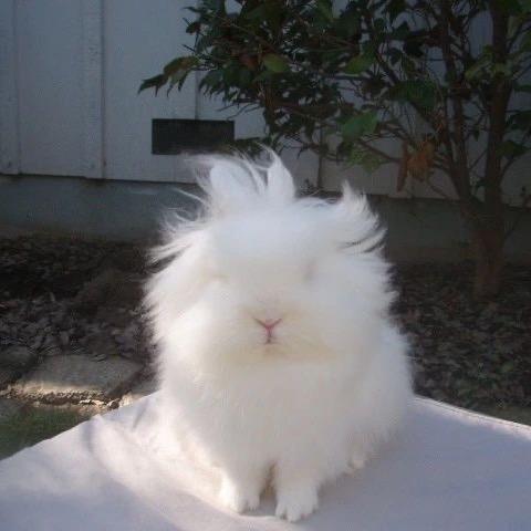 来瓶82年的可乐