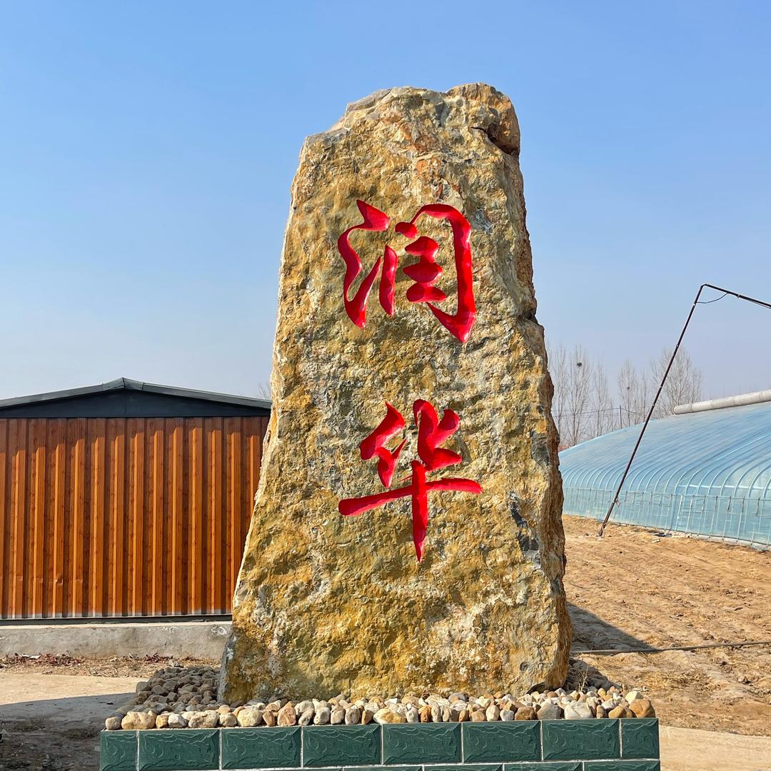 羽衣甘蓝原产地（大进哥）