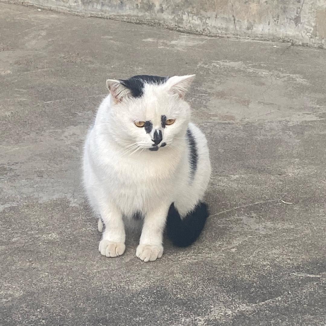 不甘平凡