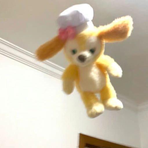 今天不想吃饭了