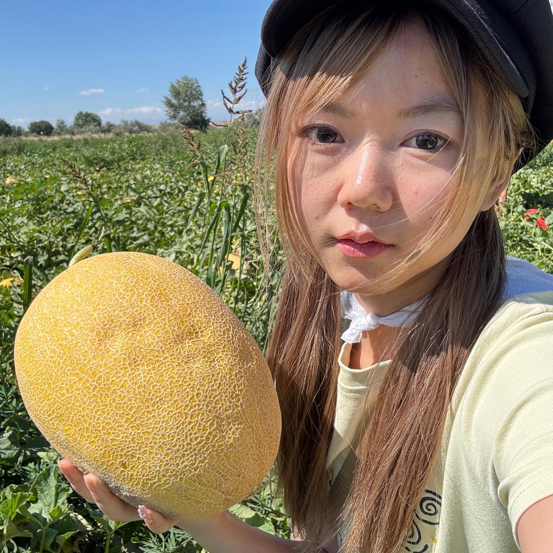 是风动