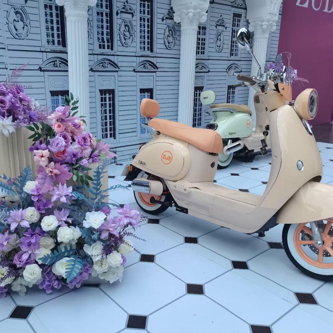 五星钻豹 茶城店