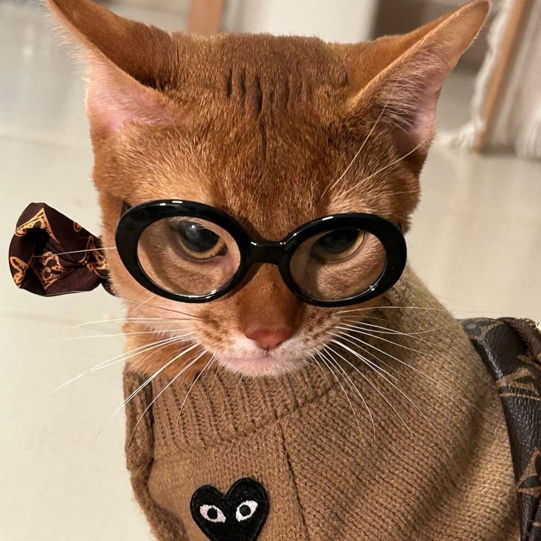 用户45221886324228