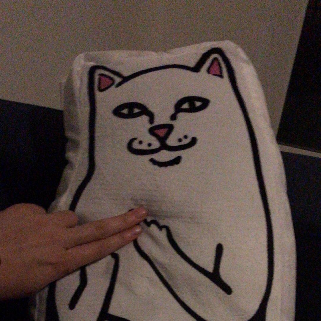 波士顿共富大道管理员