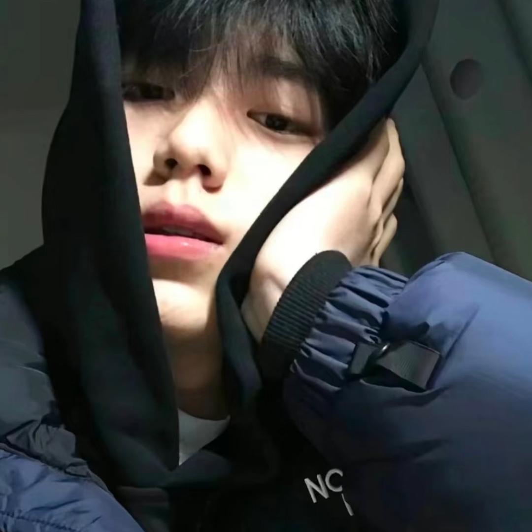 每天都好困💤