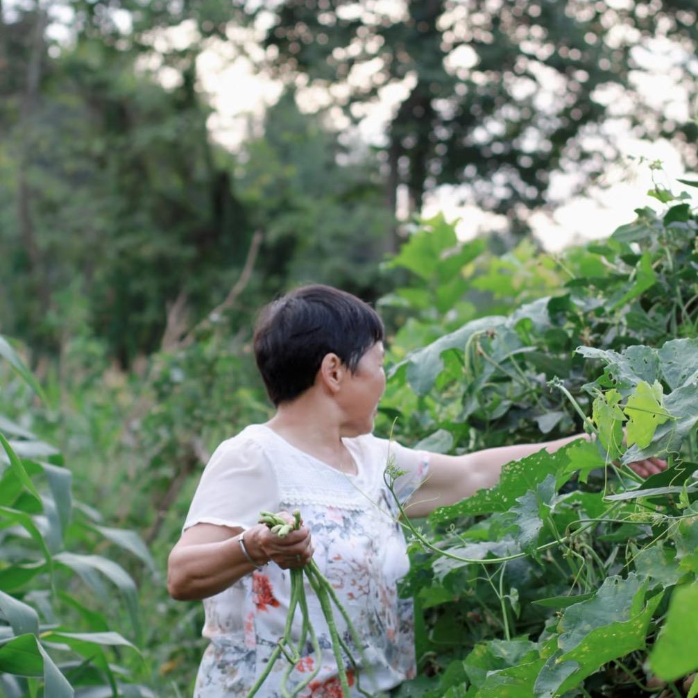 闽南花姐