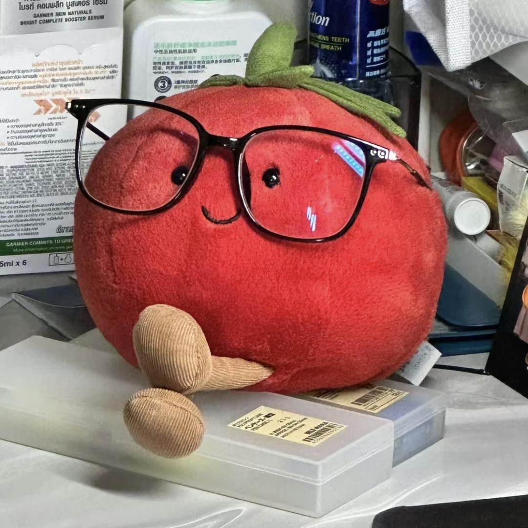 炉小鱼