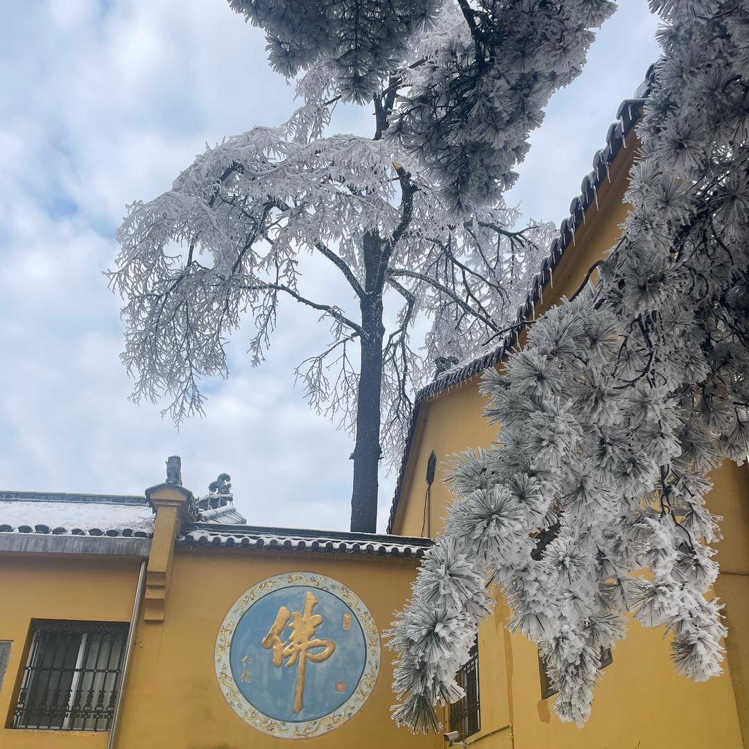 法式鹅肝生产厂家直销《何根》