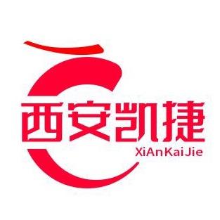 西安凯捷新能源差速器压缩机水泵真空泵