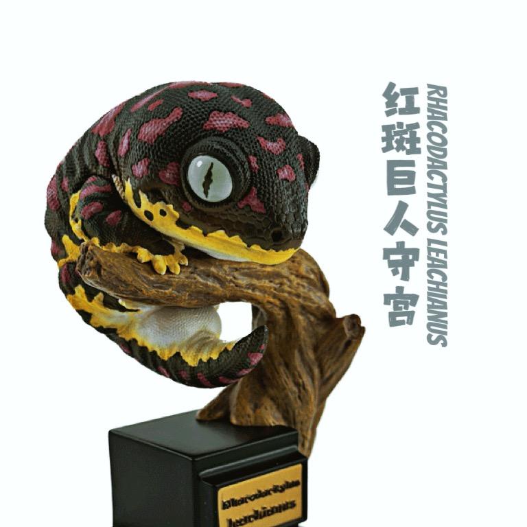 👑雨落青花👑