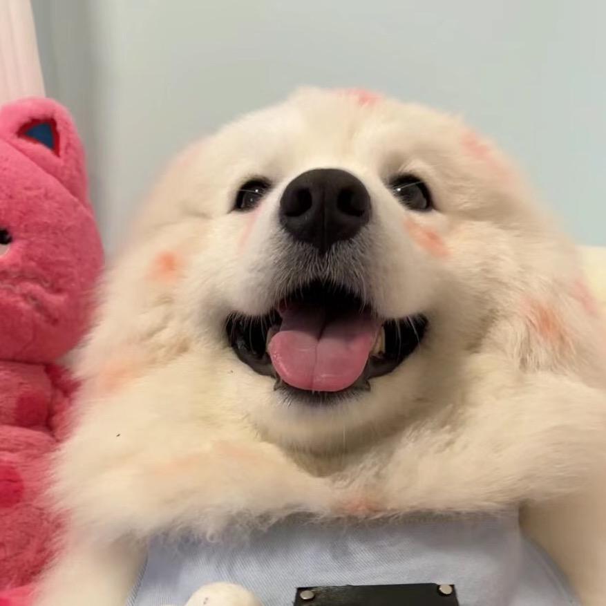 萝卜漫剧