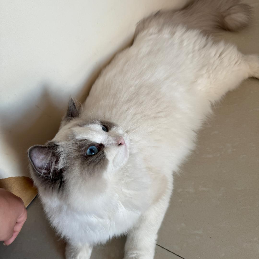 远大