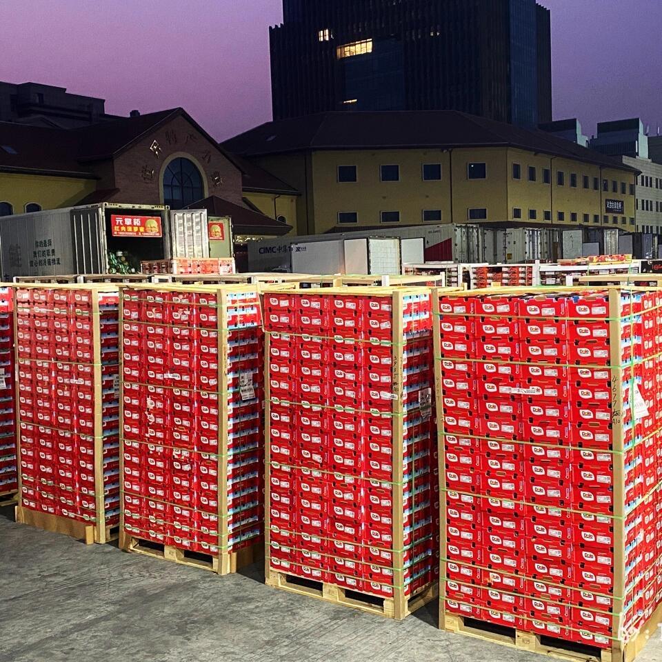 车厘子🍒小妹-韫振