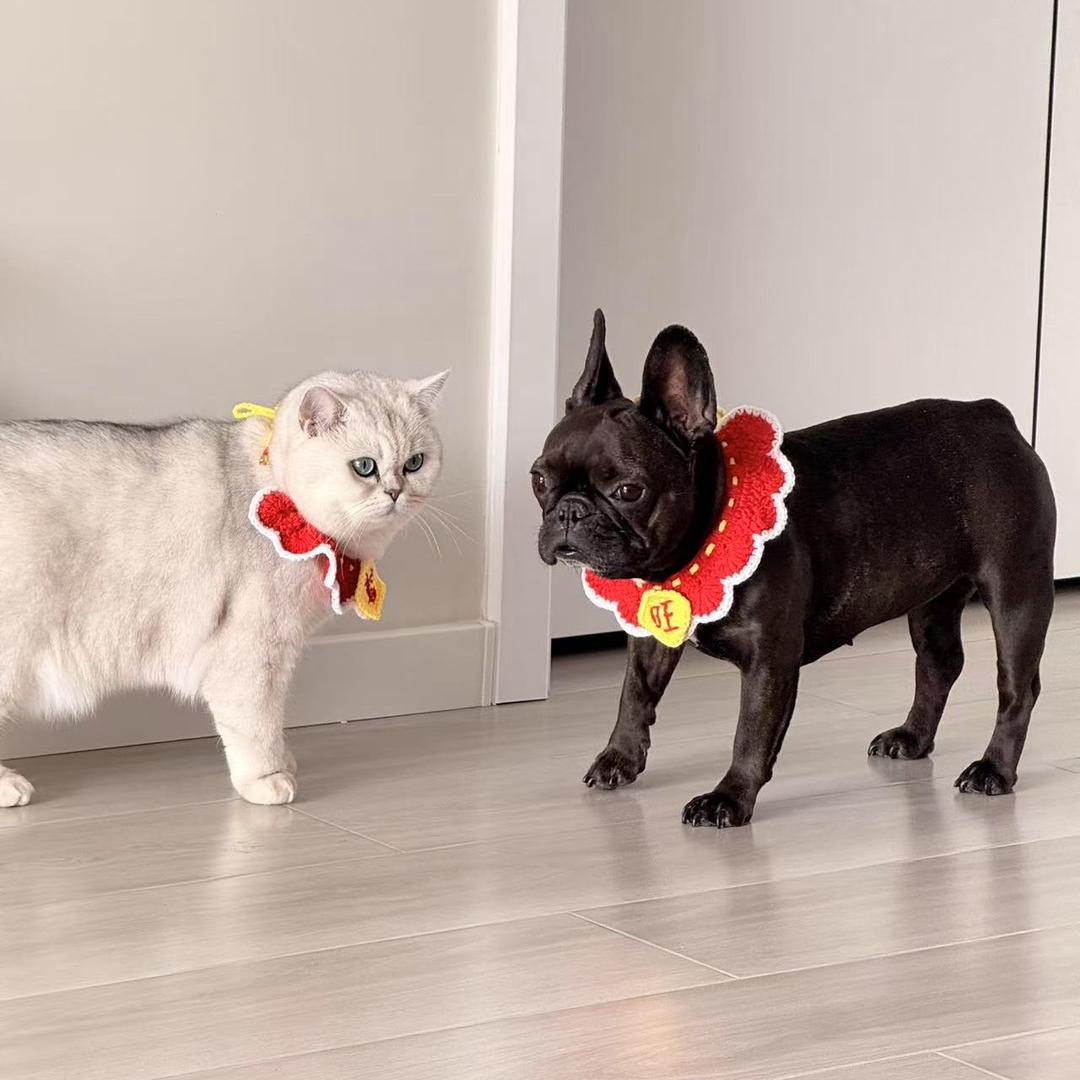 好运伴左右 天天开心