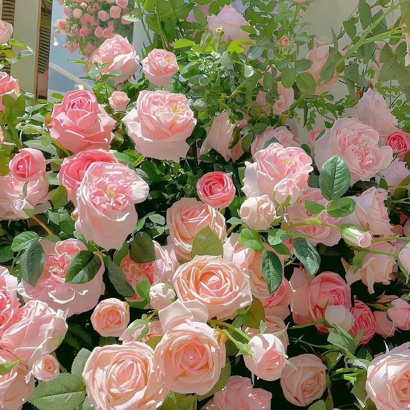 纤橞健康减肥(春江天玺店)