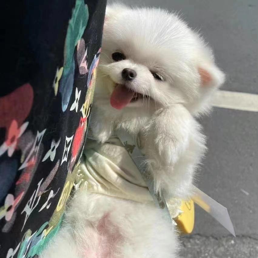 做梦