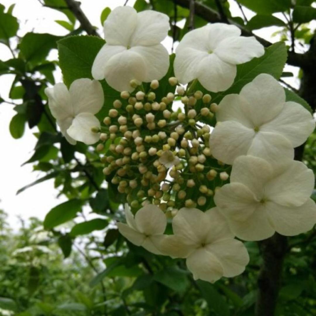 @大海森林🍀