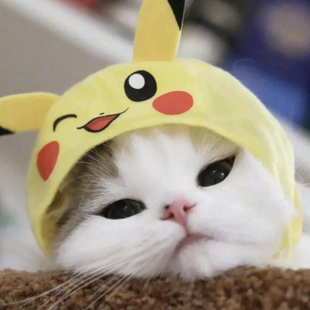emo啊啊哦